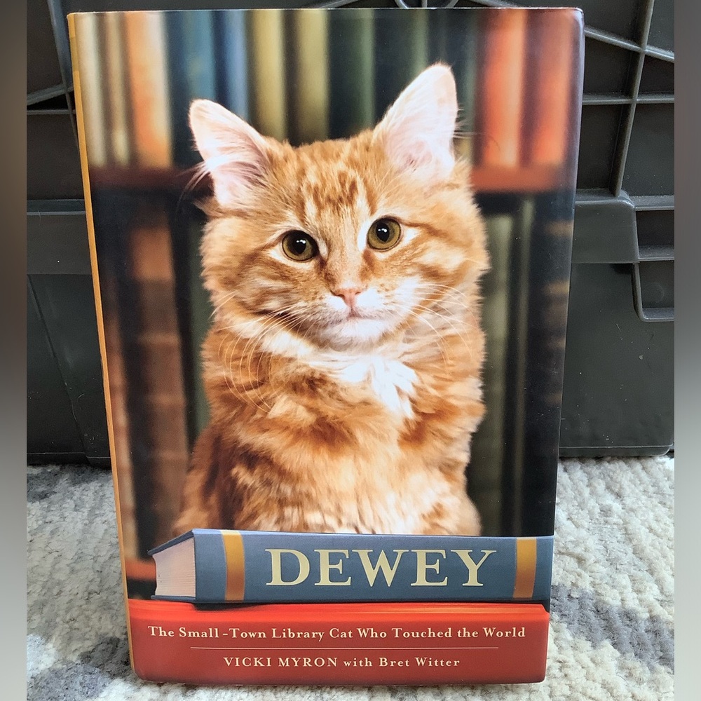 Dewey: The Small-Town Library Cat Who Touched the World